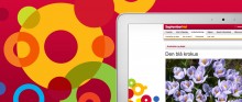 SeptemberNet WordPress website